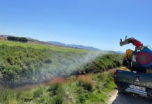 Medio Ambiente inicia la campaña contra la plaga de mosquitos en 20 posibles focos