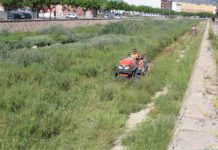 Novelda limpia el cauce del Vinalopó a su paso por el casco urbano