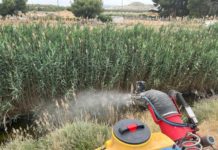 Villena intensifica la campaña contra los mosquitos