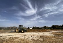 Petrer inicia el desbroce de más de 160.000 m² de solares urbanos