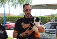 La Policía local de Novelda crea su unidad canina