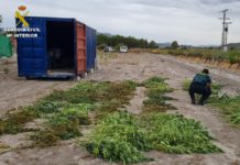 La Guardia Civil detiene a cuatro personas por tráfico de drogas tras un vuelco de droga frustrado en Salinas