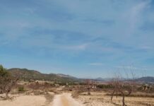 L’Ajuntament de Monòver continua arreglant camins rurals del terme municipal