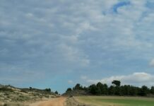 Villena culmina la reparación de los caminos rurales afectados por la DANA de 2019