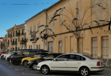 Novelda aumenta el número de árboles en su casco urbano