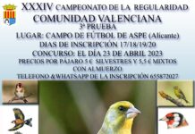3ª Prueba de regularidad del campeonato de la Comunidad Valenciana de la Federación Ornitológica Cultural Silvestritsa Española (FOCSE)