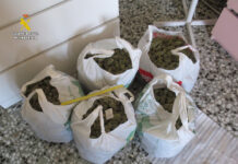 La Guardia Civil desmantela dos plantaciones indoor de marihuana en el municipio de Villena