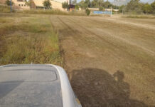 El Ayuntamiento de Aspe comienza a tramitar sanciones a aquellos vecinos que no tienen sus parcelas y solares en condiciones de limpieza y salubridad que marca la normativa municipal