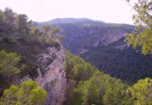 El Ayuntamiento de Villena decide iniciar el proceso judicial contra la decisión del Ministerio de autorizar la planta solar de Repsol en Sierra Salinas