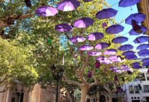 La comarca se moviliza para celebrar el Día Internacional contra la Violencia de Género