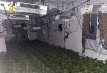 La Guardia Civil desmantela una plantación de marihuana indoor y detiene a sus responsables