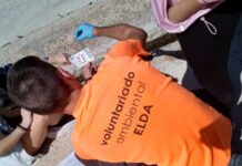 El voluntariado medioambiental eldense crece un 15%