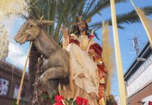 Las calles de la comarca se llenarán de palmas