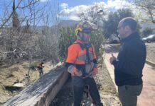 Petrer acomete trabajos de prevención de incendios en la zona de la rambla de Puça