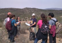 Alumnos de la UA visitan las canteras restauradas