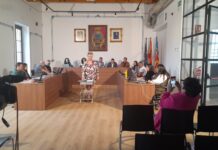 Elisa Santiago vuelve al Ayuntamiento pinosero