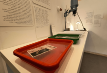 La Casa Modernista acoge la exposición “Menjars de la Terra”