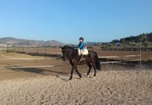 El Pinós acoge el 29 de junio el VIII Concurso de Doma Vaquera de la Comunitat Valenciana