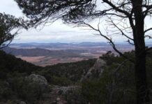 Villena pondrá freno a la instalación de plantas fotovoltaicas
