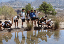 Novelda finaliza el programa de educación medioambiental