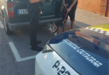 La Policía Local de Petrer intensifica el control de los perros en la vía pública