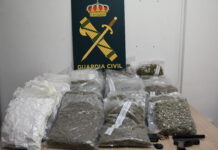 Desmantelada una organización criminal internacional de tráfico de drogas