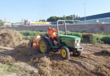 Novelda realiza trabajos de limpieza en el cauce del rio