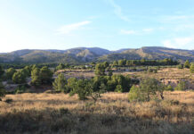 Petrer cede un terreno a la Consellería para la construcción de un depósito para la extinción de incendios