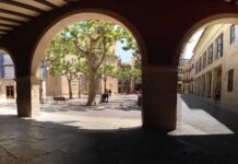 Ajedrez y cine en las fiestas de Aspe