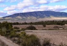 La Diputación concede ayudas para la prevención de incendios