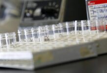 Alertan de la presencia de fragmentos de vidrio en el tinto de verano de La Casera