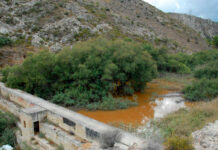 Elda declarará el Pantano como Paraje Natural Municipal
