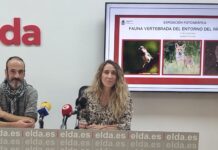 Una exposición fotográfica reúne una selección de la fauna que tienen su hábitat en el Vinalopó a su paso por el término municipal de Elda