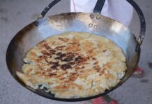 El Parque del Oeste acoge el concurso a la mejor gatxamiga de Novelda