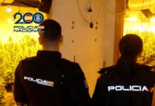 La Policía Nacional desarticula un entramado delincuencial dedicado a la plantación indoor de marihuana