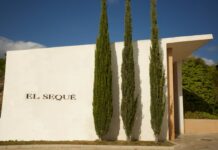 Los vinos pinoseros reconocidos internacionalmente