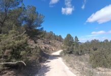 Elda realiza tareas de prevención de incendios en la vertiente norte de Camara