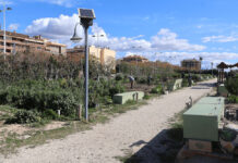 Novelda realiza mejoras en los huertos ecológicos