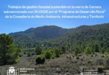 Elda mejorara la masa forestal de Camara