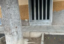 Retiran los ficus de la Plaza Guillen Gras en Monforte del Cid para evitar daños en viviendas e infraestructuras