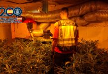 La Policía Nacional desmantela en Elda un punto de venta de droga activo las 24 horas