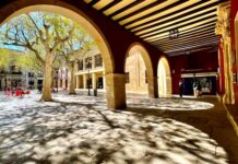 Aspe solicita la mejora del programa de mamografías en la Comunitat