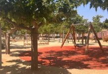 Villena inicia una campaña para reponer arboles en los espacios públicos