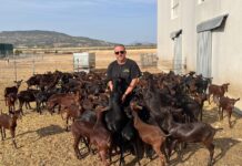 El ganadero pinosero Jesús Toledo galardonado por ASAJA