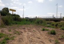 Novelda realiza el desbroce del cauce del Vinalopó