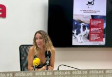 Elda inicia una campaña para el control de colonias felinas en zonas rurales