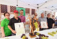 Novelda elige las uvas que llevara la Patrona en la “Bajada”