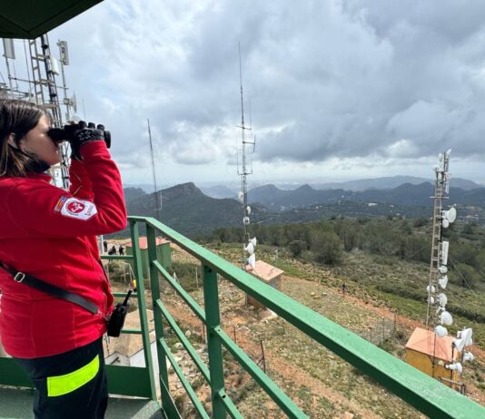 El otro trabajo de la Generalitat para prepararse contra los incendios forestales: reparar 4.000 km de pistas