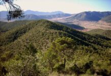 La Safra registra un seísmo de 1,6 grados