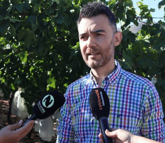 El Alcalde de Novelda, asiste en La Romana al acto del corte del primer racimo de uva de mesa